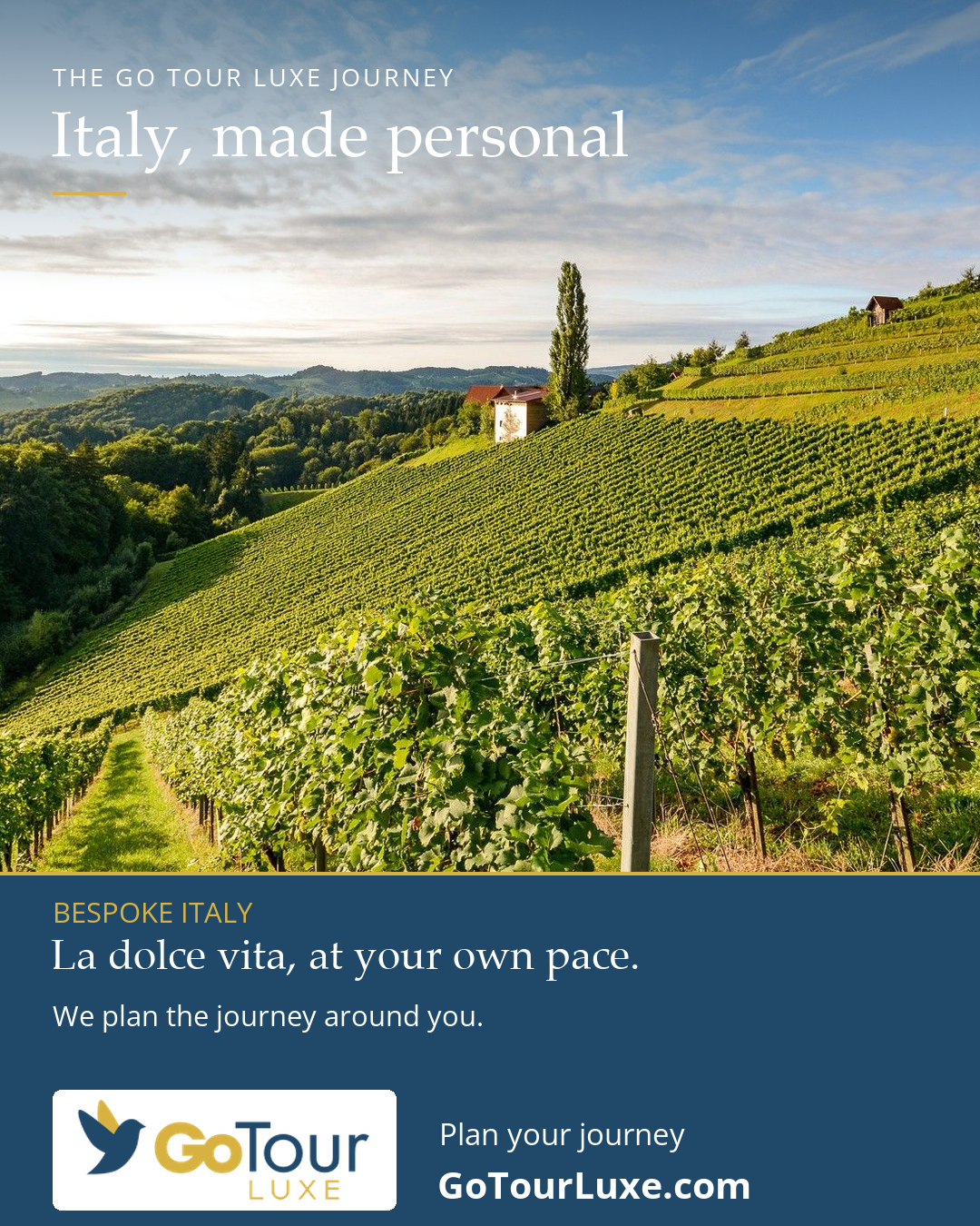 Approved Italy journey artwork showing vineyard landscapes